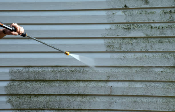 Best Mold Removal Process  in Wolfforth, TX