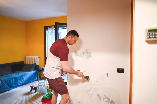 Best Emergency Mold Removal  in Wolfforth, TX